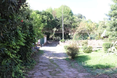Quinta T5 para Venda em Silvares, Pias, Nogueira e Alvarenga