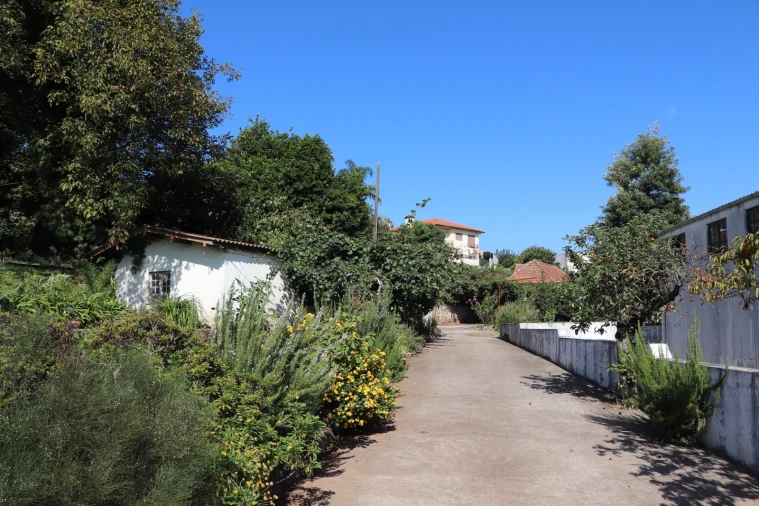 Quinta T5 para Venda em Silvares, Pias, Nogueira e Alvarenga Foto 14