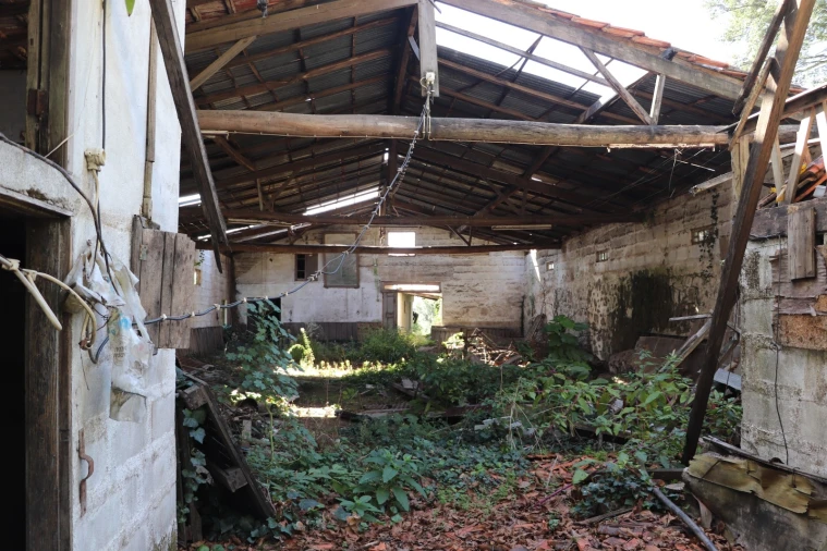 Quinta T5 para Venda em Silvares, Pias, Nogueira e Alvarenga Foto 26