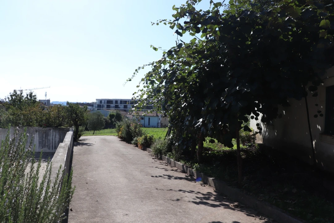 Quinta T5 para Venda em Silvares, Pias, Nogueira e Alvarenga Foto 8
