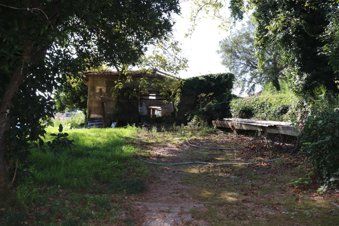 Quinta T5 para Venda em Silvares, Pias, Nogueira e Alvarenga Foto 23