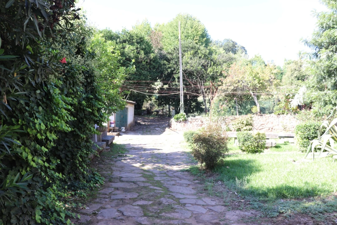 Quinta T5 para Venda em Silvares, Pias, Nogueira e Alvarenga Foto 9