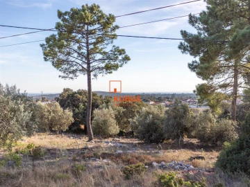 Moradia T4 para Venda em Serra de Santo Antonio