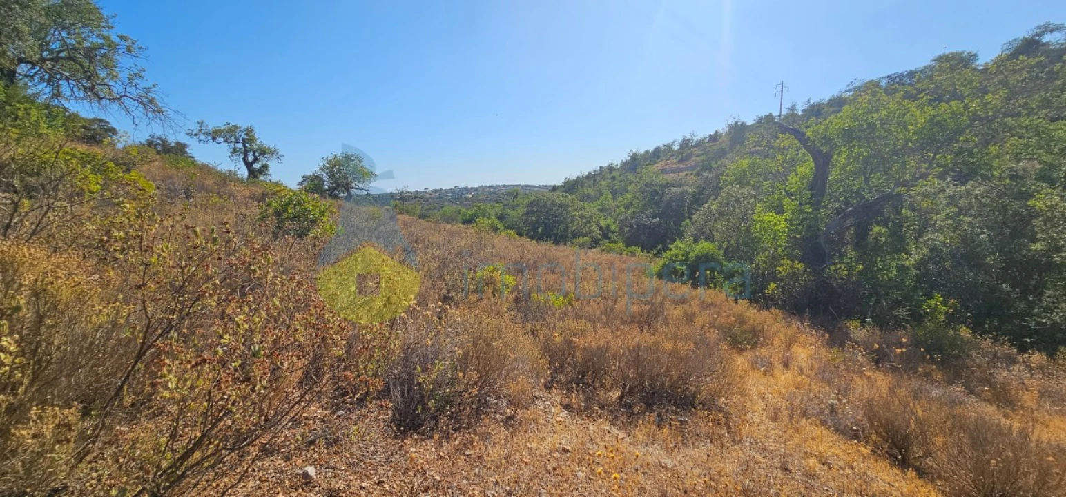Terreno Agricola ou Rústico para Venda em Alferce Foto 5