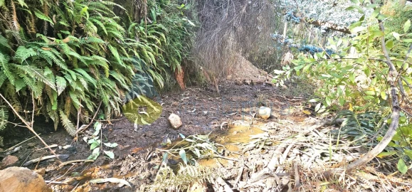 Terreno Agricola ou Rústico para Venda em Alferce