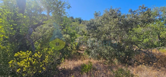 Terreno Agricola ou Rústico para Venda em Alferce