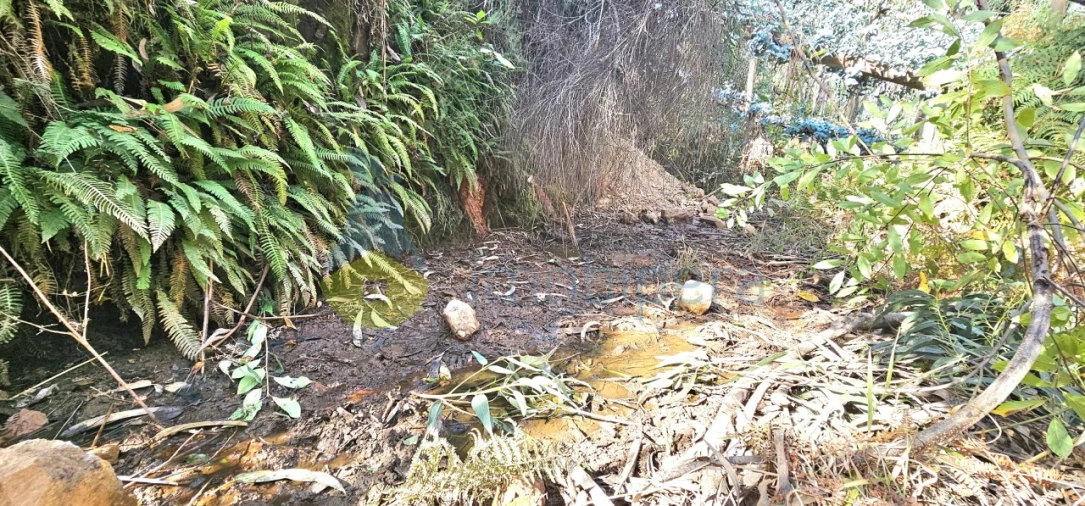 Terreno Agricola ou Rústico para Venda em Alferce Foto 2