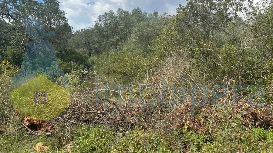 Terreno Agricola ou Rústico para Venda em Alferce