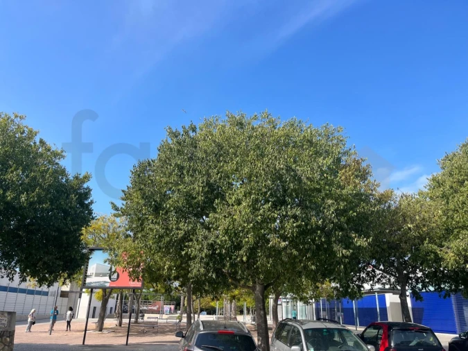 Apartamento T2 para Venda em Cascais e Estoril Foto 19