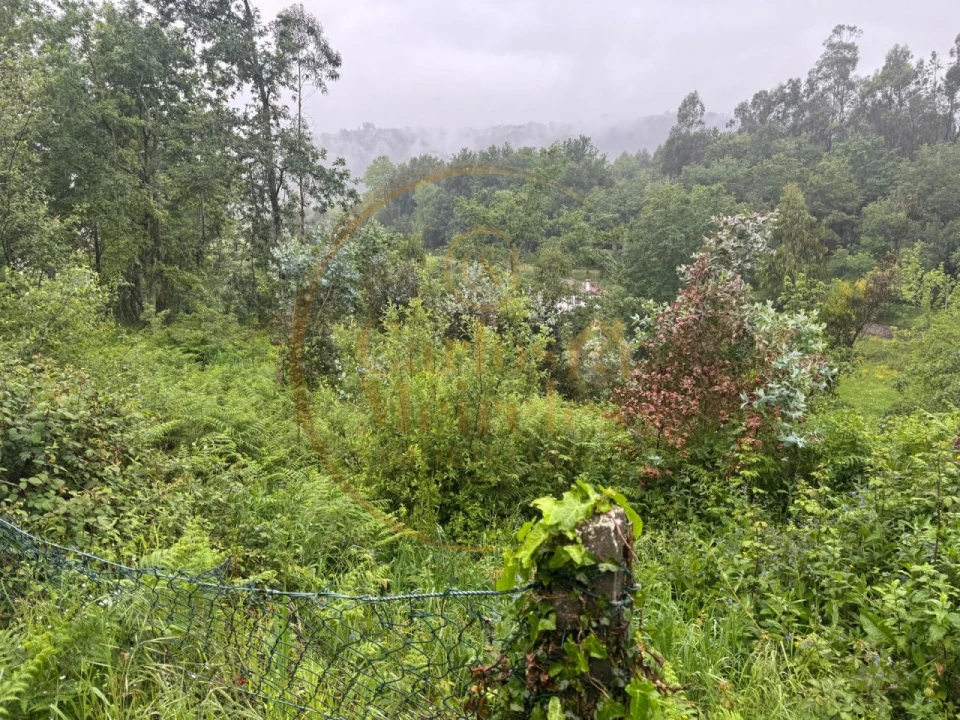 Terreno Agricola ou Rústico para Venda em Ribeira do Neiva Foto 3