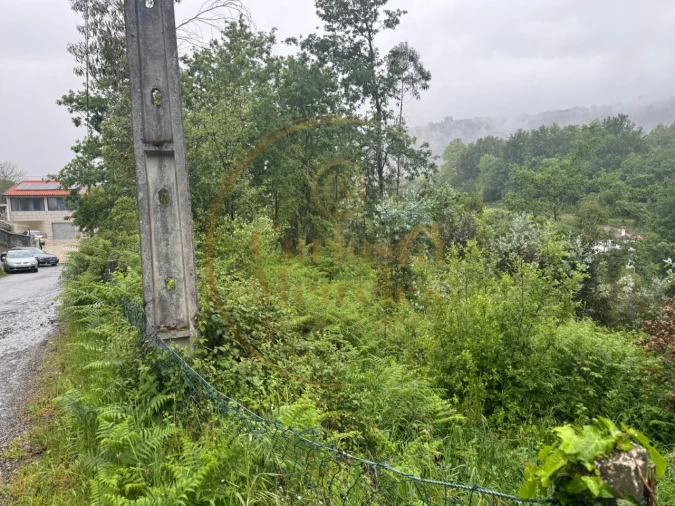 Terreno Agricola ou Rústico para Venda em Ribeira do Neiva Foto 2