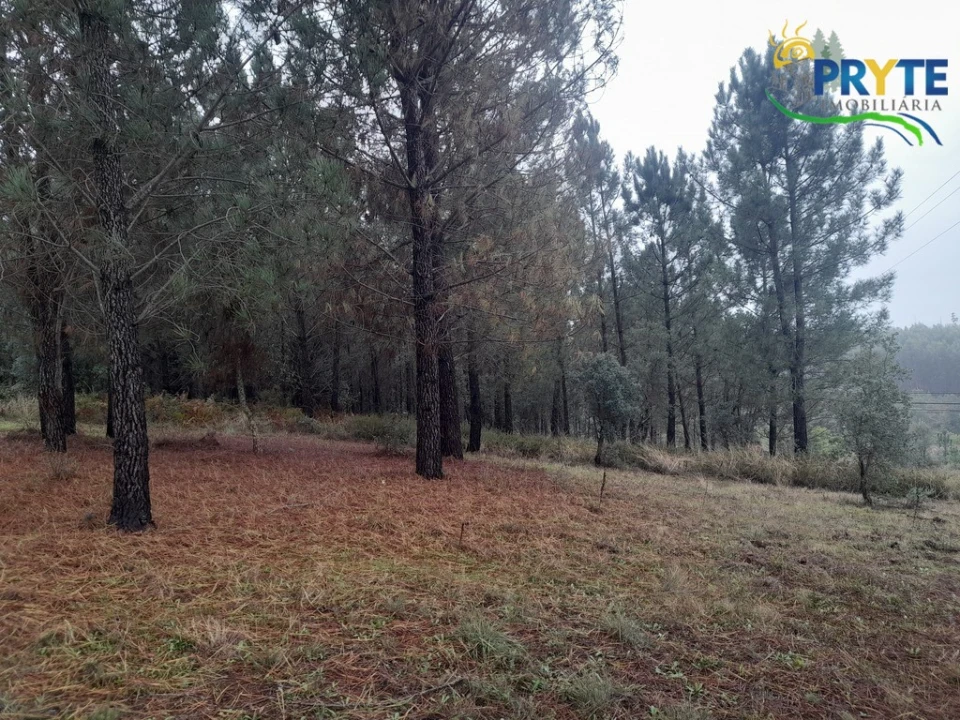 Moradia T3 para Venda em Sertã Foto 37