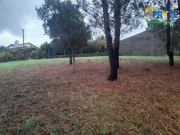 Moradia T3 para Venda em Sertã