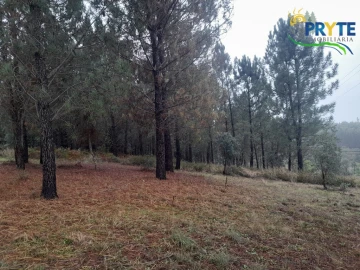 Moradia T3 para Venda em Sertã