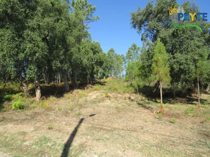 Terreno para Venda em Sertã Foto 6