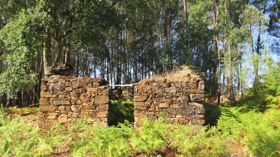 Terreno para Venda em Sertã