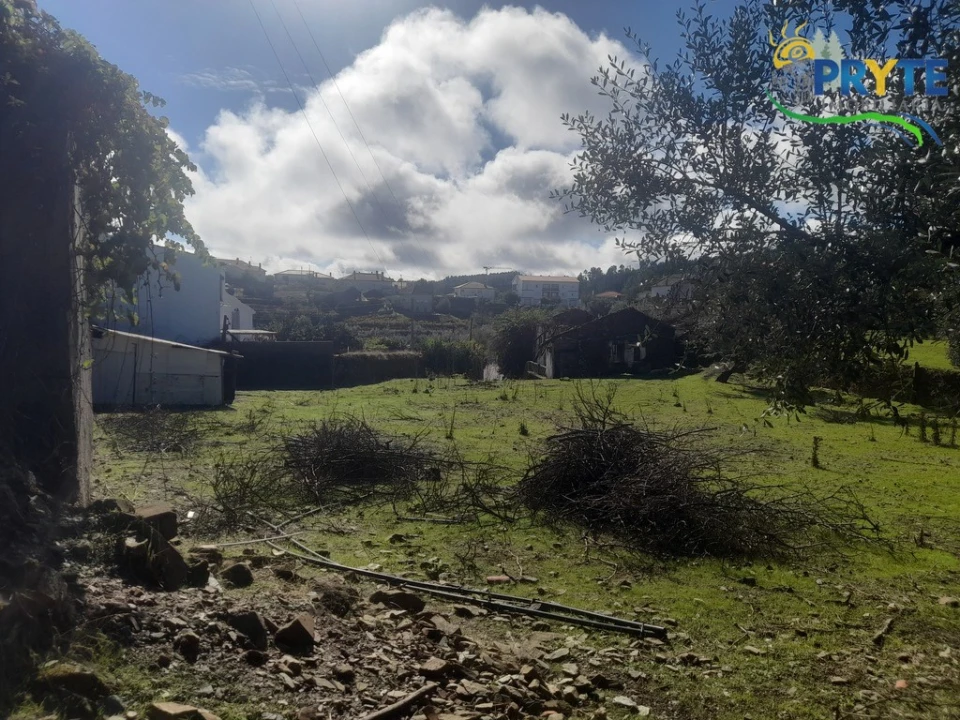 Terreno para Venda em Proença-A-Nova e Peral Foto 1
