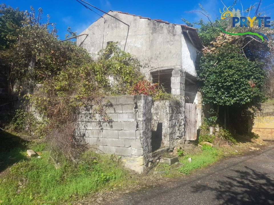 Terreno para Venda em Proença-A-Nova e Peral Foto 7