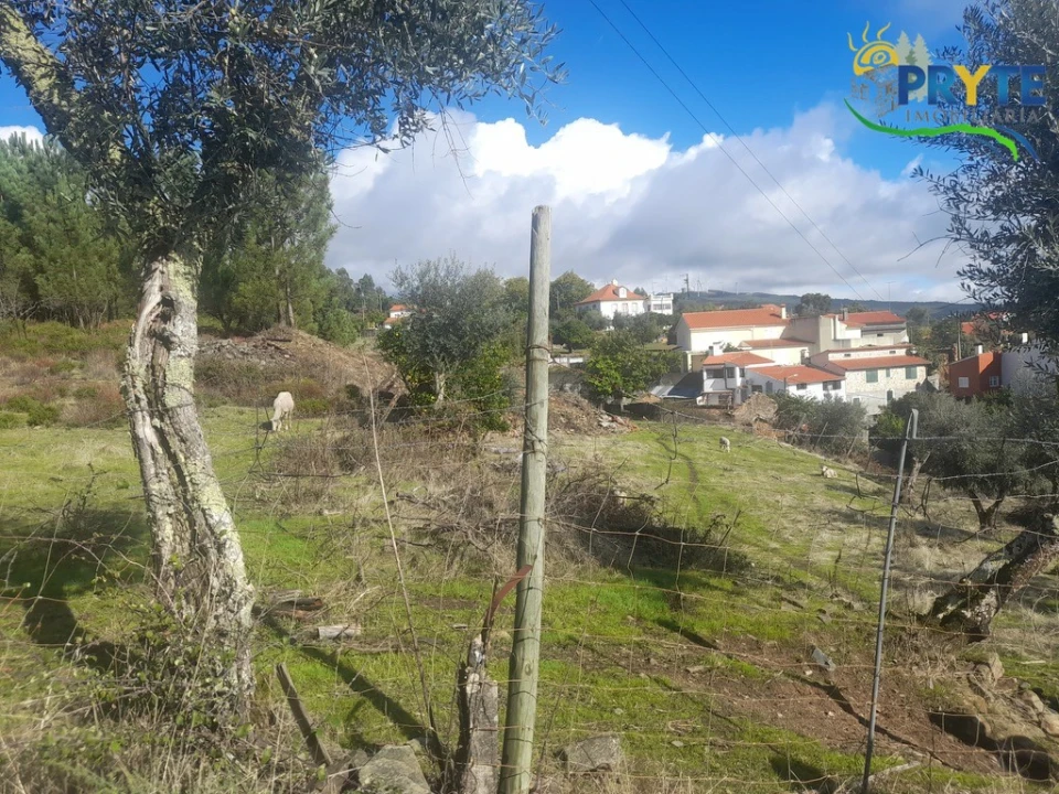 Terreno para Venda em Proença-A-Nova e Peral Foto 14