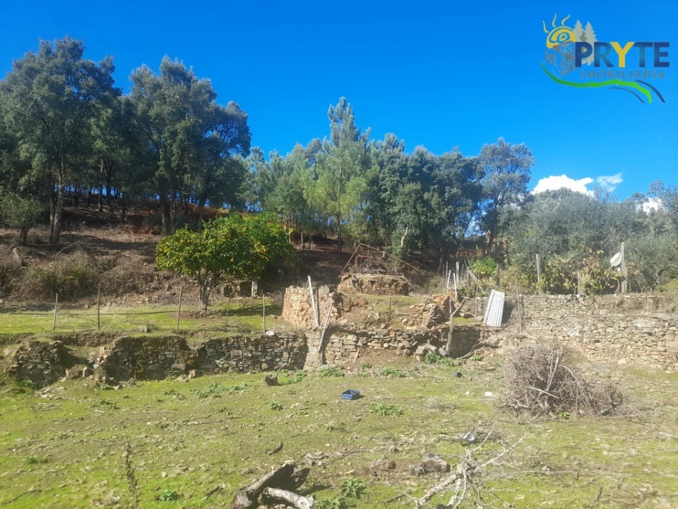 Terreno para Venda em Proença-A-Nova e Peral Foto 16