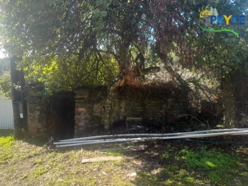 Terreno para Venda em Proença-A-Nova e Peral