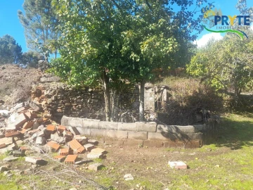 Terreno para Venda em Proença-A-Nova e Peral