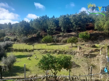 Terreno para Venda em Proença-A-Nova e Peral
