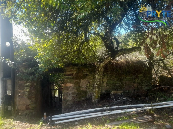 Terreno para Venda em Proença-A-Nova e Peral Foto 9