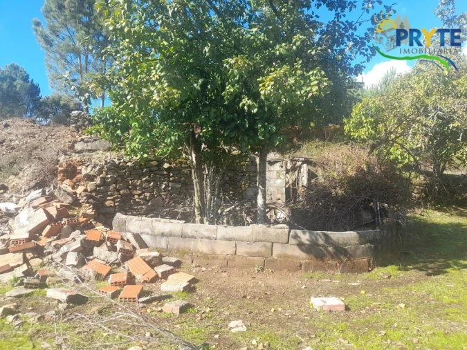 Terreno para Venda em Proença-A-Nova e Peral Foto 12