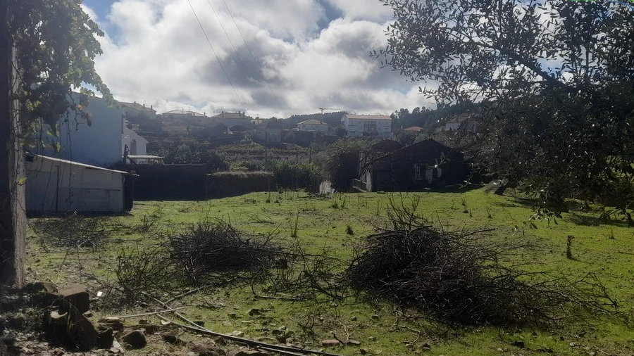 Terreno para Venda em Proença-A-Nova e Peral