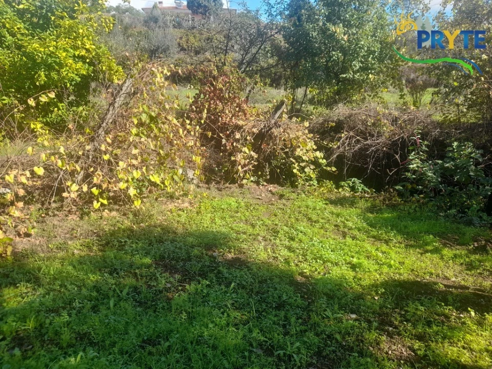 Terreno para Venda em Proença-A-Nova e Peral Foto 6