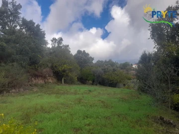 Terreno para Venda em Proença-A-Nova e Peral