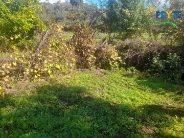 Terreno para Venda em Proença-A-Nova e Peral