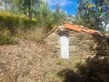 Terreno para Venda em Proença-A-Nova e Peral