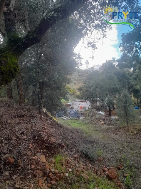 Terreno para Venda em Proença-A-Nova e Peral