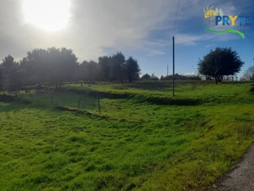 Terreno para Venda em Sertã
