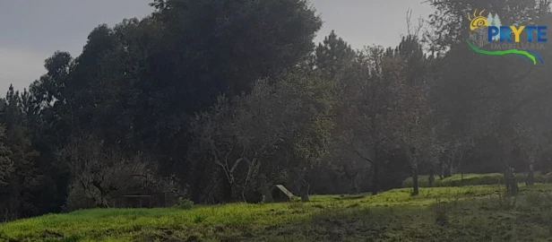 Terreno para Venda em Sertã