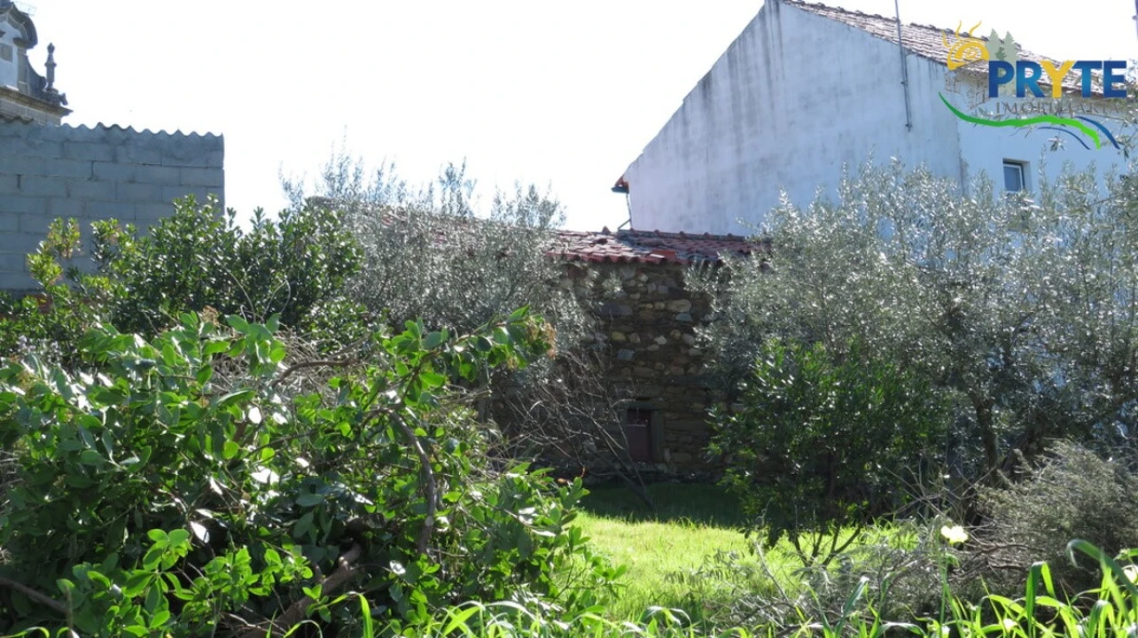 Terreno para Venda em Sarzedas Foto 15