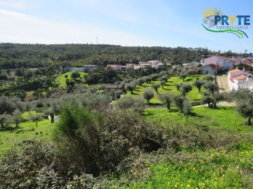 Terreno para Venda em Sarzedas