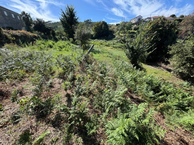Terreno para Venda em Vilarinho Foto 3