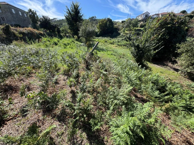 Terreno para Venda em Vilarinho Foto 7