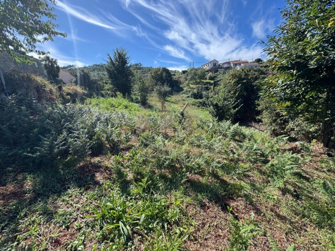 Terreno para Venda em Vilarinho Foto 6