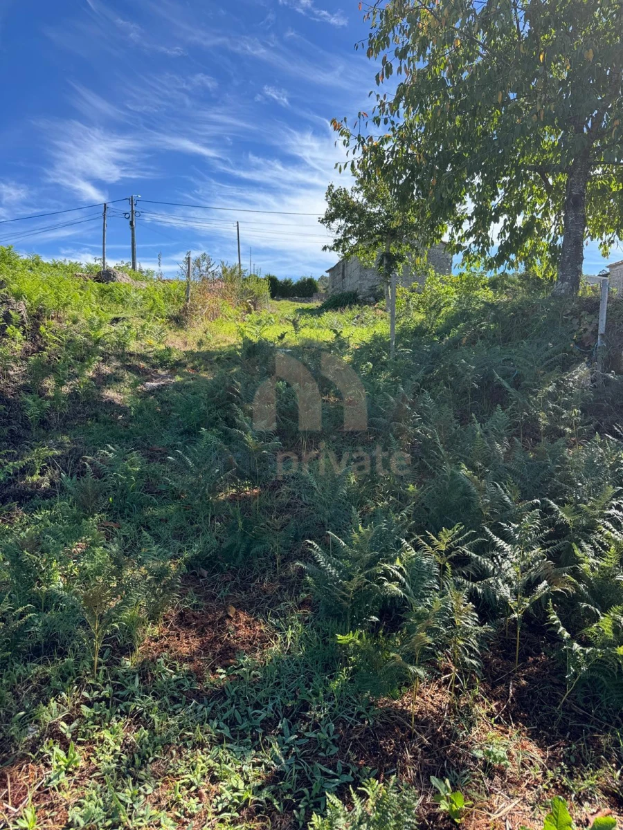 Terreno para Venda em Vilarinho Foto 4