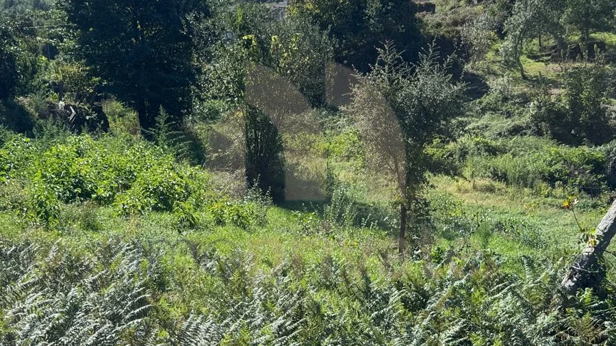 Terreno para Venda em Vilarinho