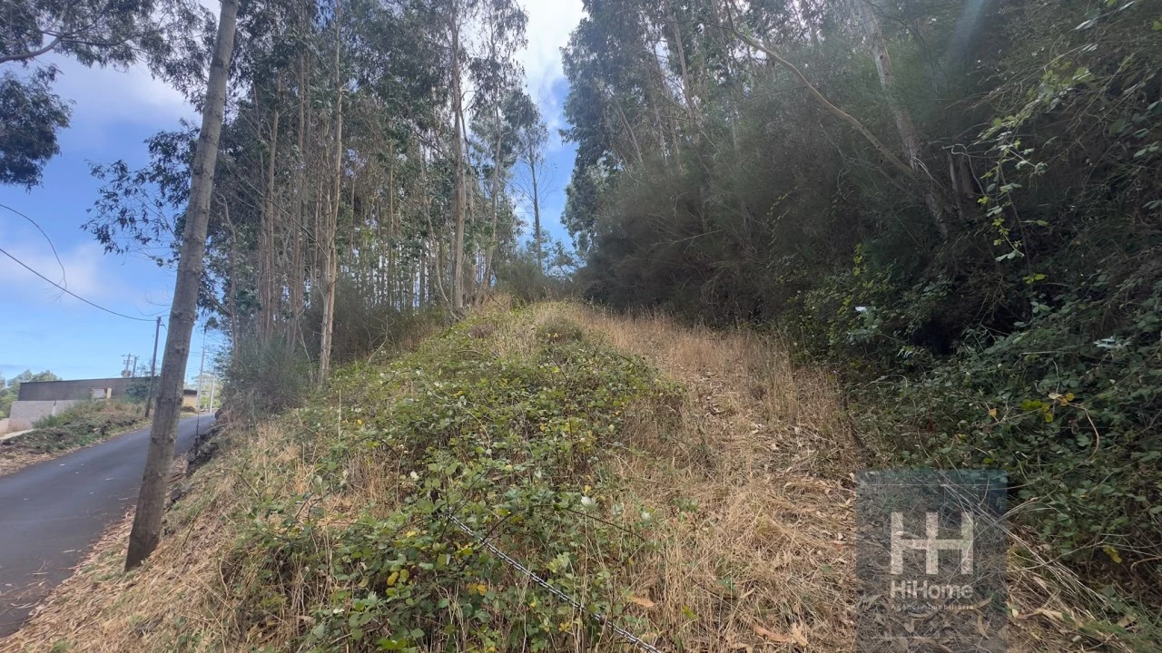 Terreno para Venda em Camacha Foto 2