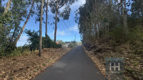 Terreno para Venda em Camacha