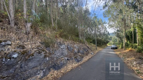 Terreno para Venda em Camacha