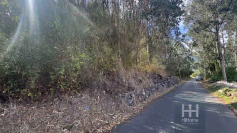 Terreno para Venda em Camacha