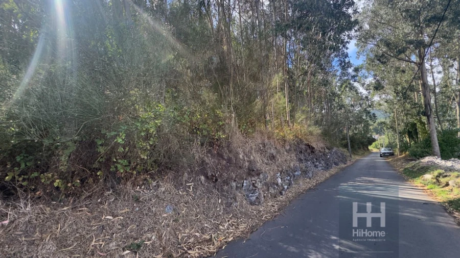 Terreno para Venda em Camacha Foto 7