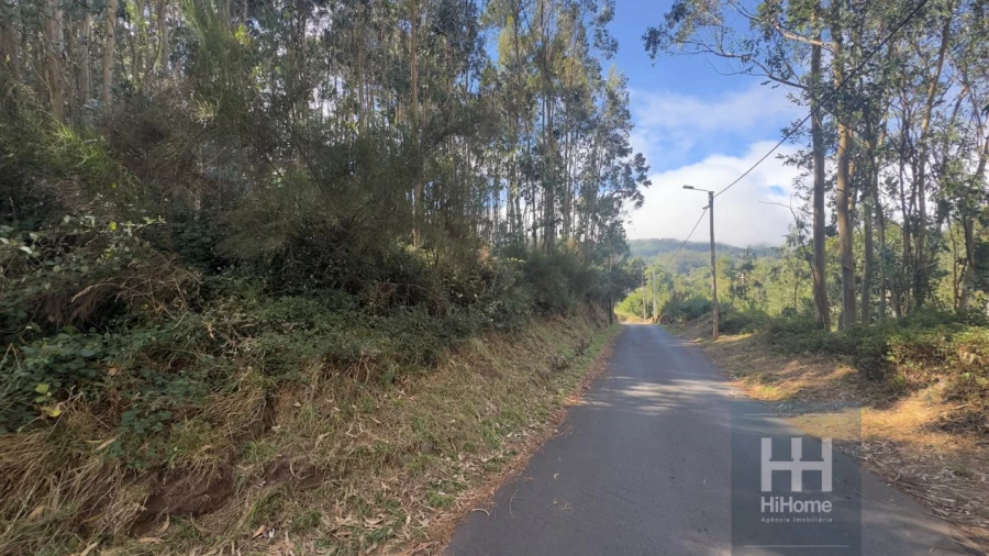 Terreno para Venda em Camacha